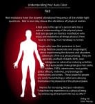 Significado del Aura Roja: ¿Qué revela sobre ti? 5 Significado del Aura Roja: ¿Qué revela sobre ti?