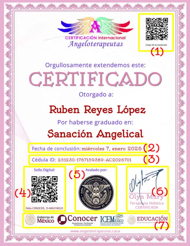Ejemplo Certificado Ejemplo Certificado