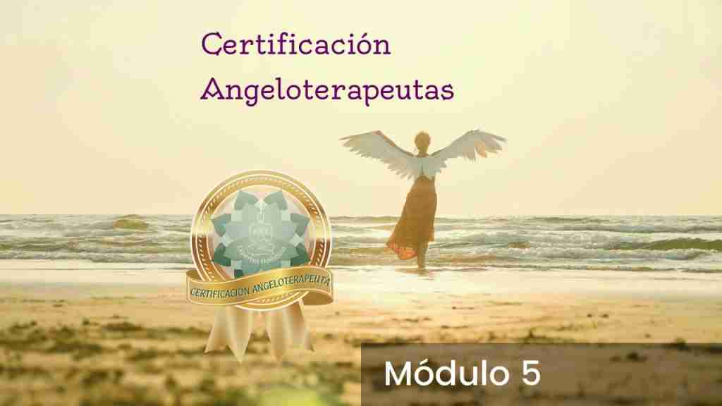 Angelo Terapeuta 13 modulo5 angeloterapeutas