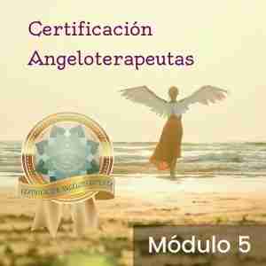 Módulo 5 para la Certificación AngeloTerapeutas